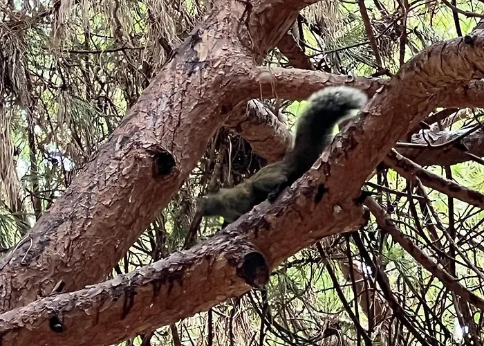 Le Saint Honorat Juan Les Pins アパート アンティーブ